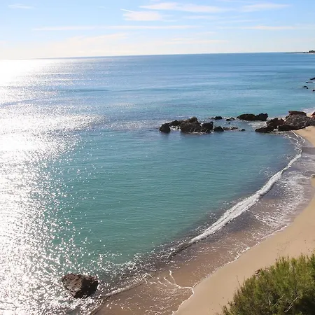 Palm Beach 9 *